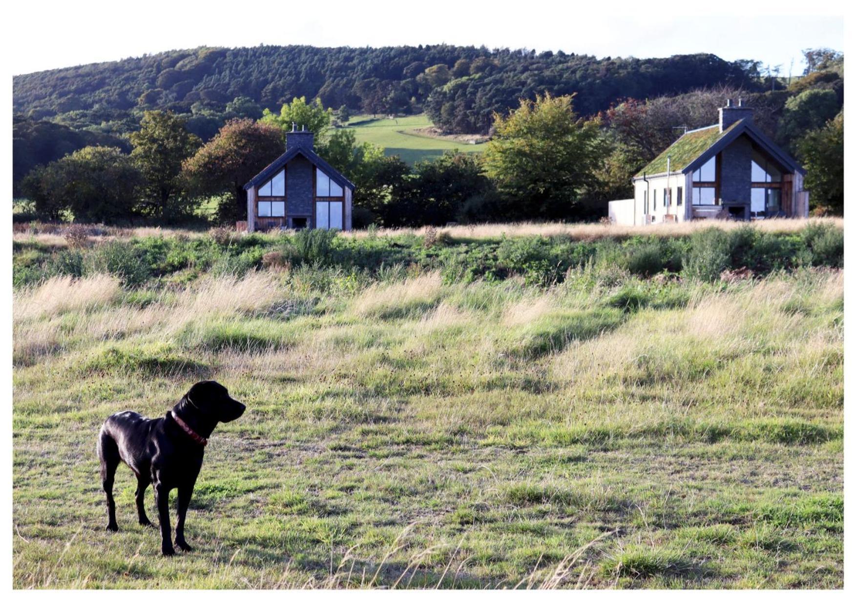 Eco-Lodge With Sea View Charleton Estate Colinsburgh Eksteriør bilde